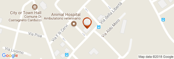 orario Veterinario Donoratico