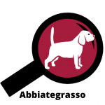 web agency Web Agency Abbiategrasso Trend Finders SRL Milano